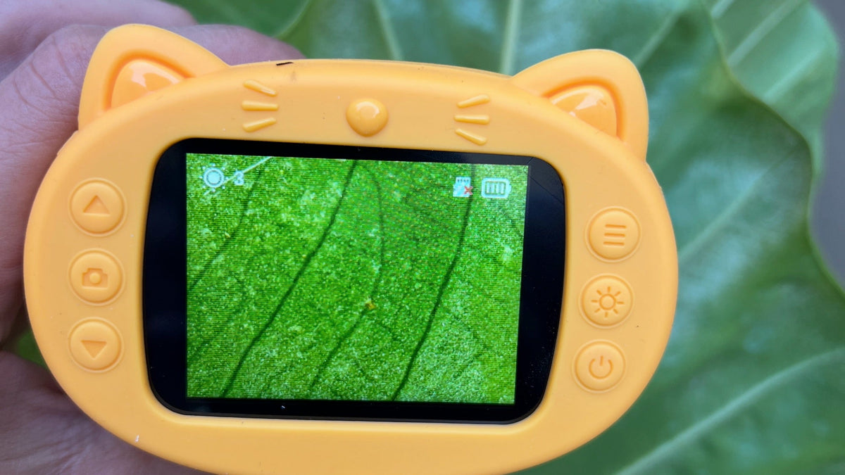 Les nervures d'une feuille, nettes sur l'écran du microscope enfant Kideo jaune à coque chat Image