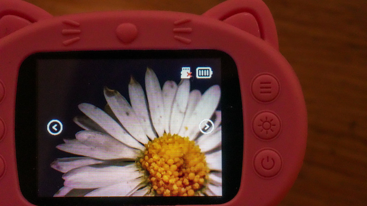 Marguerite vue sur l'écran du microscope enfant Kideo, dans sa coque chat rose Image